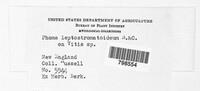 Image Associated With the Occurence